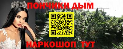 сатива Заводоуковск