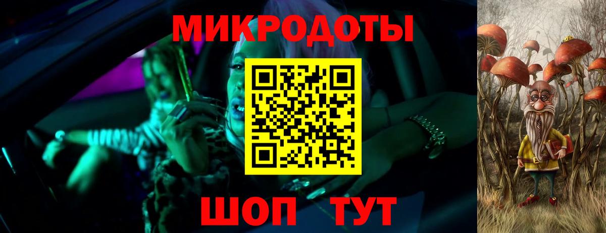 Галлюциногенные грибы Psilocybe Жуковский